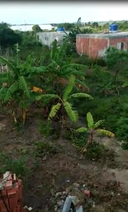 Casa para Venda em São Pedro da Aldeia / RJ no bairro São Mateus - imagem 19