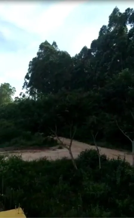 Casa para Venda em São Pedro da Aldeia / RJ no bairro São Mateus - imagem 30